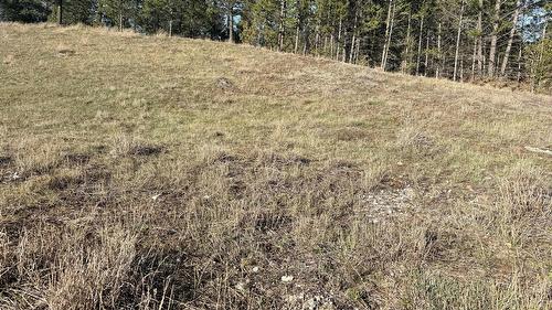 Lot 1 Cooper Road, Windermere, BC - Outdoor With View