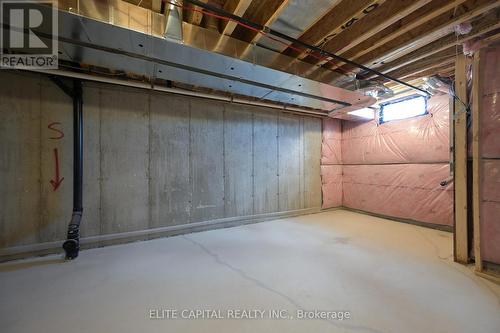 147 Berczy Green Drive, Markham, ON - Indoor Photo Showing Basement