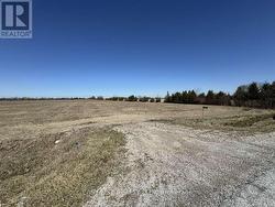 301 ROAD 11 Kingsville, ON N0R 1V0