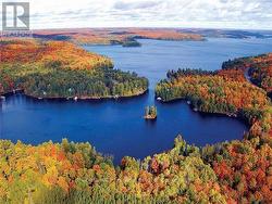 Fall View - 