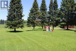 Expansive lawn with mature evergreen trees providing natural shading - 