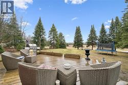 Expansive wooden deck with a natural finish, featuring a surrounding lawn and mature evergreen trees - 