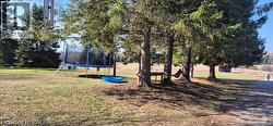 Expansive outdoor area featuring mature evergreen trees, a grassed lawn, and a clear blue sky - 