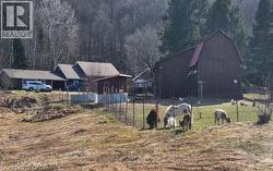 fenced paddock area - 