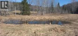 Natural pond surrounded by mature trees and open fields - 