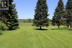 Expansive green lawn with mature evergreen trees, bordered by a distant treeline and open fields - 