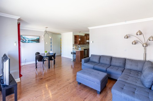 Salon - 4-7475 Rue Lautrec, Brossard, QC - Indoor Photo Showing Living Room