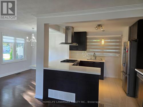 283 Paliser Crescent S, Richmond Hill, ON - Indoor Photo Showing Kitchen