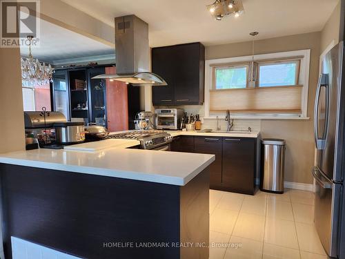 283 Paliser Crescent S, Richmond Hill, ON - Indoor Photo Showing Kitchen With Stainless Steel Kitchen