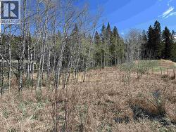 LOT 10 REITA CRESCENT 100 Mile House, BC V0K 2E1
