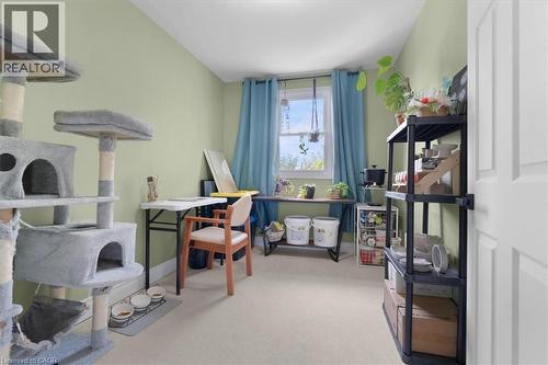 Carpeted room with light green walls, a window with blue curtains, and white baseboards - 133 Frederick Avenue, Hamilton, ON - Indoor Photo Showing Other Room