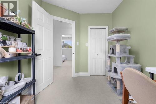 Interior room featuring light green walls, light-colored carpet, and white six-panel interior doors - 133 Frederick Avenue, Hamilton, ON - Indoor