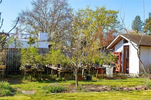 377 Campbell St, Duncan, BC 