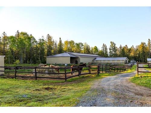 560 Lakeside Rd, Smithtown, NB 