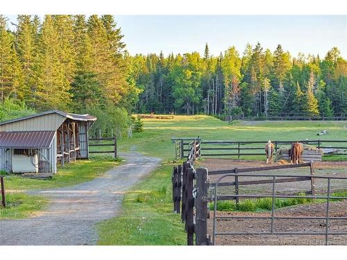 560 Lakeside Rd, Smithtown, NB 