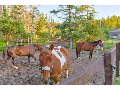 560 Lakeside Rd, Smithtown, NB 