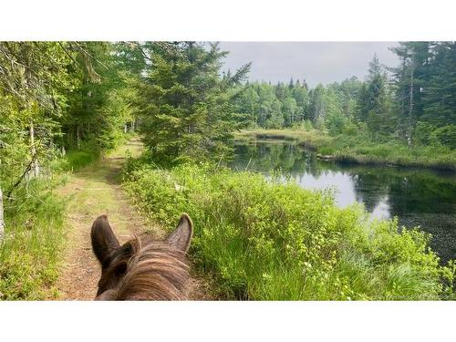 560 Lakeside Rd, Smithtown, NB 