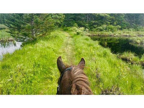 560 Lakeside Rd, Smithtown, NB 