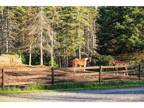 560 Lakeside Rd, Smithtown, NB 