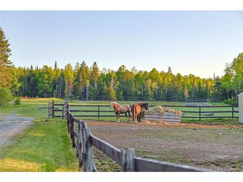 560 Lakeside Rd, Smithtown, NB 