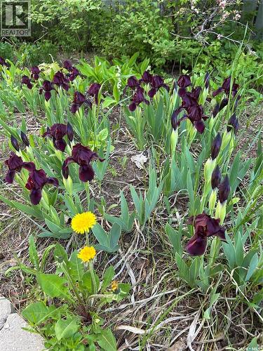 230 Baker Place, Saskatoon, SK - 