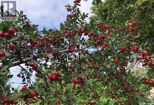 230 Baker Place, Saskatoon, SK - Outdoor