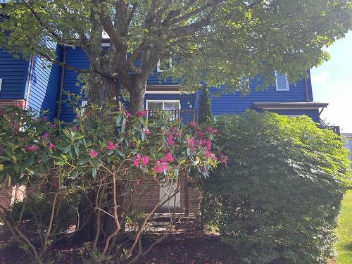 40 Attenborough Court, Halifax, NS 