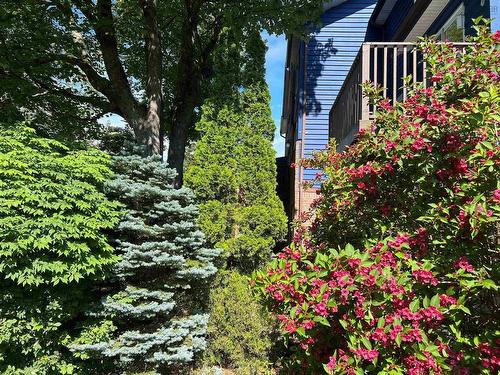 40 Attenborough Court, Halifax, NS 