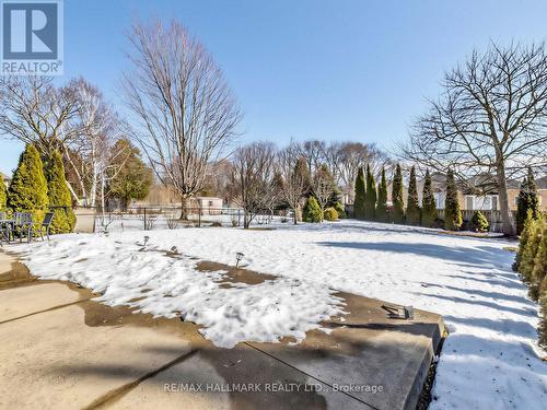 69 B Elm Grove Avenue, Richmond Hill, ON - Outdoor
