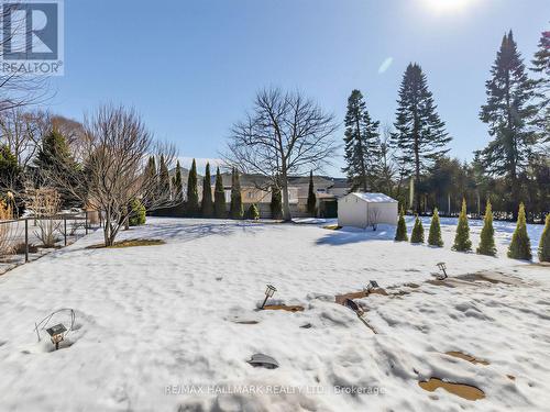 69 B Elm Grove Avenue, Richmond Hill, ON - Outdoor
