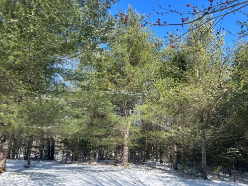 Exterior - 2 Rue Du Mirage, Lac-Brome, QC - Outdoor With View