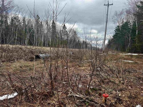 Basin Rd., Whiteside, NS 