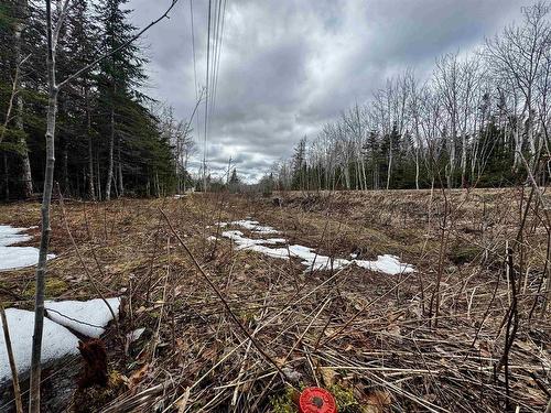 Basin Rd., Whiteside, NS 