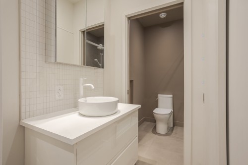 Bathroom - 7249Z Av. Louis-Hébert, Montréal (Villeray/Saint-Michel/Parc-Extension), QC - Indoor Photo Showing Bathroom