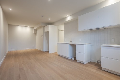 Overall view - 7249Z Av. Louis-Hébert, Montréal (Villeray/Saint-Michel/Parc-Extension), QC - Indoor Photo Showing Other Room