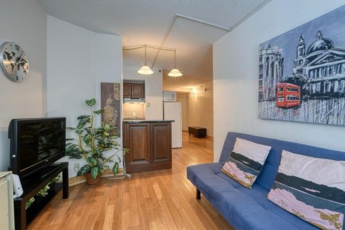 Salon - 241-1055 Rue St-Mathieu, Montréal (Ville-Marie), QC - Indoor Photo Showing Living Room