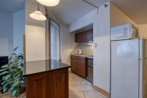 Cuisine - 241-1055 Rue St-Mathieu, Montréal (Ville-Marie), QC - Indoor Photo Showing Kitchen