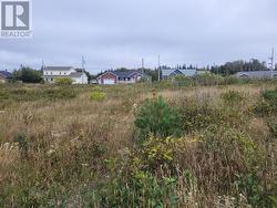 3 Ridgeview Avenue Stephenville, NL A2N 0B7