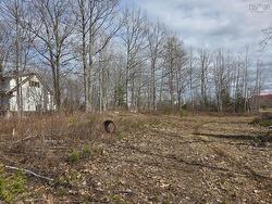 Lot 36 Highway 6 Waldegrave, NS B0K 1V0
