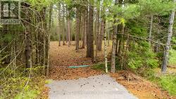 536 PINE STREET Greater Madawaska, ON K0J 2R0