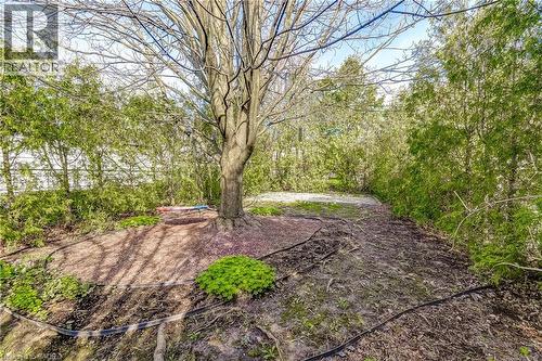 53 East 19Th Street, Hamilton, ON - Outdoor