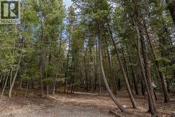 Lot 83 TATTERSFIELD PLACE 108 Mile Ranch, BC V0K 2Z0