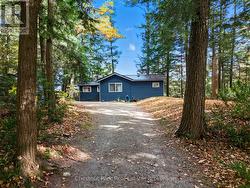 Driveway - 