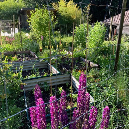 99 Garner Rd, Salt Spring, BC 