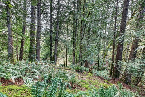 99 Garner Rd, Salt Spring, BC 