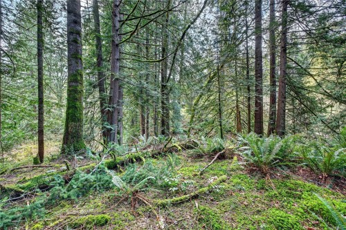 99 Garner Rd, Salt Spring, BC 