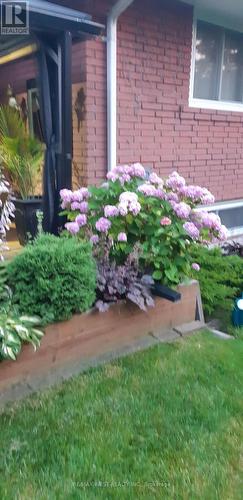 1184 Kingston Road, Pickering, ON 