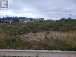 6 Logan Crescent Stephenville, NL A2N 0B7