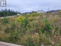 1 Ridgeview Avenue  Stephenville, NL A2N 0B7