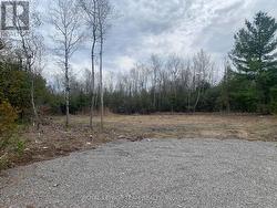 1204 PIONEER ROAD  Merrickville-Wolford, ON K0G 1N0